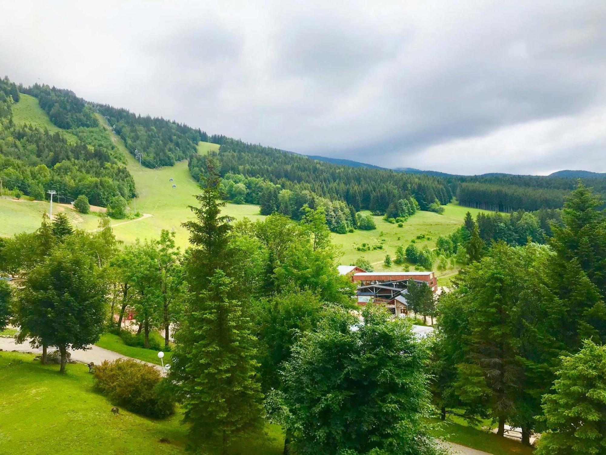 Appartement 43M² Pied Des Pistes Avec Parking Et Wifi - Fr-1-515-40 维拉尔-德朗 外观 照片